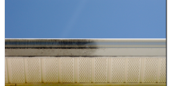gutter whitening services st charles mo