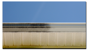 gutter whitening services st charles mo