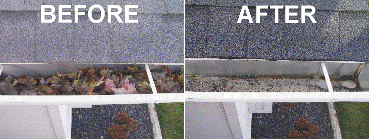 st louis gutter cleaning
