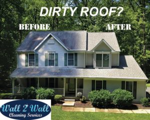 roof cleaning services 